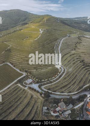 Vue aérienne des vignobles en terrasses descendant les collines, créant une tapisserie de vert et brun, contrastée par la route sinueuse ci-dessous, Tomino, Pontevedra, Espagne. Banque D'Images