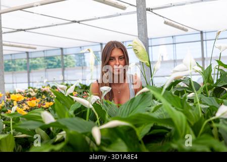 Femme debout parmi les plantes vertes de lys de paix dans une serre commerciale Banque D'Images
