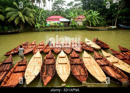 Bateaux à rames sur une rivière calme à côté d'un village tropical avec des palmiers et des toits rouges Banque D'Images
