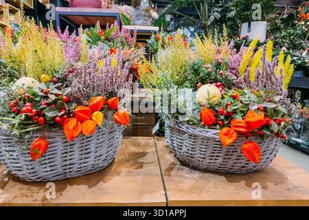 Deux paniers en osier remplis d'arrangements floraux d'automne vibrants avec bruyère, baies et fleurs de lanterne orange. Floraison saisonnière, vente au détail Banque D'Images
