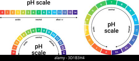 Echelle de pH de l'équilibre acide et alcalin. Valeur mesurée par un indicateur de test. Contrôle à l'aide de papier tournesol. Illustration de Vecteur