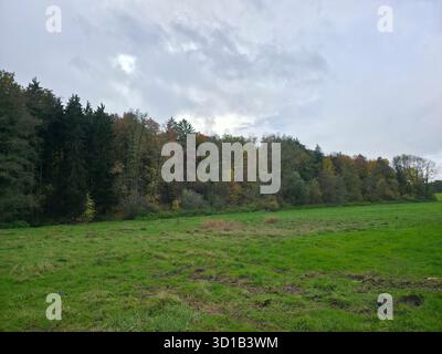 Allemagne, pâturages verts à côté du bord de la forêt en automne saison dehors sur le jour pluvieux orageux dans le paysage naturel Banque D'Images