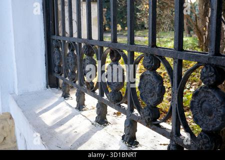 La lumière du soleil baigne la porte de fer détaillée, mettant en évidence le feuillage d'automne qui l'entoure. Banque D'Images