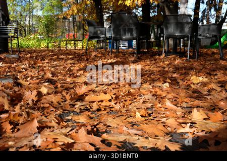 Des feuilles dorées couvrent le sol tandis que les chaises sont assises vides dans un espace de café serein. Banque D'Images