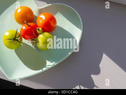 Saine et pleine saveur, fraîchement cueillies, petites tomates rouges et vertes biologiques, sont placées sur un seuil de veuve exposé au sud ensoleillé d'une maison domestique en Eng Banque D'Images