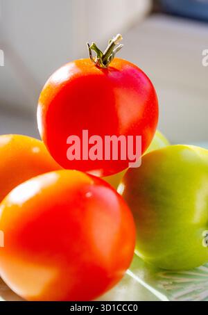 Saine et pleine saveur, fraîchement cueillies, petites tomates rouges et vertes biologiques, sont placées sur un seuil de veuve exposé au sud ensoleillé d'une maison domestique en Eng Banque D'Images