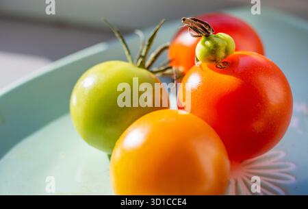 Saine et pleine saveur, fraîchement cueillies, petites tomates rouges et vertes biologiques, sont placées sur un seuil de veuve exposé au sud ensoleillé d'une maison domestique en Eng Banque D'Images