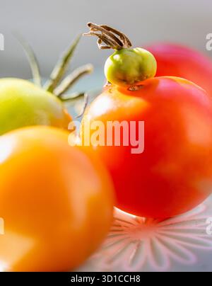 Saine et pleine saveur, fraîchement cueillies, petites tomates rouges et vertes biologiques, sont placées sur un seuil de veuve exposé au sud ensoleillé d'une maison domestique en Eng Banque D'Images
