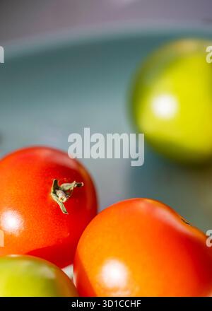 Saine et pleine saveur, fraîchement cueillies, petites tomates rouges et vertes biologiques, sont placées sur un seuil de veuve exposé au sud ensoleillé d'une maison domestique en Eng Banque D'Images