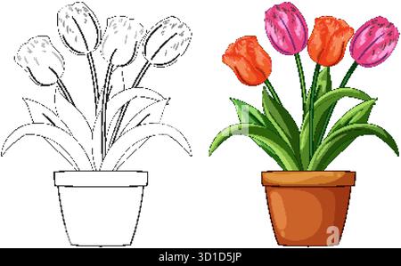Tulipes vibrantes dans un pot en argile, côte à côte avec un contour noir et blanc, style vectoriel plat Illustration de Vecteur