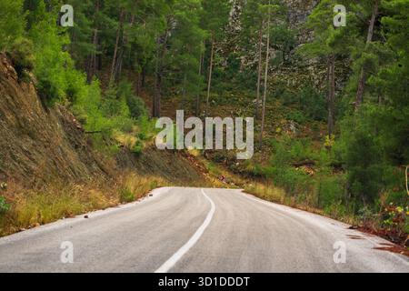 Route de montagne sinueuse creusée entre falaises rocheuses abruptes et pins denses Banque D'Images