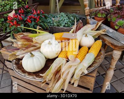 Fleurs, citrouilles et épis de maïs sur un plateau d'époque à une foire agricole de rue. Légumes de récolte d'automne mûrs sur la table. Décorations pour la fête Banque D'Images