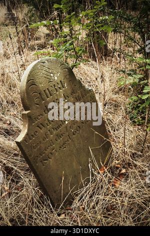 Tombes dans le cimetière envahi par la végétation à Skeffling, East Riding of Yorkshire. Banque D'Images