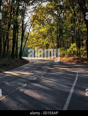 Route sinueuse dans la forêt d'automne. Route pavée sinueuse à travers la forêt le jour ensoleillé d'octobre. Banque D'Images