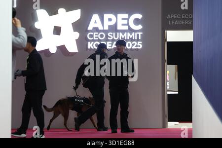 Pohang, Gyeongbuk, CORÉE DU SUD. 28 octobre 2025. Oct 28, 2025-Pohang, Corée du Sud-les commandos de police montent la garde sur le lieu du Sommet des PDG du forum de coopération économique Asie-Pacifique à Gyeongju, province de Gyeongsang du Nord, sud-est de la Corée du Sud, le 28 octobre 2025, le jour d'ouverture du sommet prévu pour le 29-31 octobre en prévision du sommet de l'APEC du 31 octobre à novembre. 1 dans la ville. (Crédit image : © Apec2025korea via ZUMA Press Wire) USAGE ÉDITORIAL SEULEMENT ! Non destiné à UN USAGE commercial ! Crédit : ZUMA Press, Inc/Alamy Live News Banque D'Images