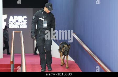 Pohang, Gyeongbuk, CORÉE DU SUD. 28 octobre 2025. Oct 28, 2025-Pohang, Corée du Sud-les commandos de police montent la garde sur le lieu du Sommet des PDG du forum de coopération économique Asie-Pacifique à Gyeongju, province de Gyeongsang du Nord, sud-est de la Corée du Sud, le 28 octobre 2025, le jour d'ouverture du sommet prévu pour le 29-31 octobre en prévision du sommet de l'APEC du 31 octobre à novembre. 1 dans la ville. (Crédit image : © Apec2025korea via ZUMA Press Wire) USAGE ÉDITORIAL SEULEMENT ! Non destiné à UN USAGE commercial ! Crédit : ZUMA Press, Inc/Alamy Live News Banque D'Images
