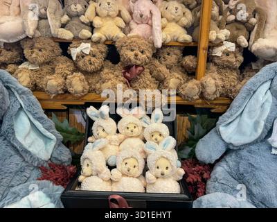 Un charmant affichage de divers ours en peluche et poupées lapin en peluche empilés sur des étagères en bois rustiques, créant une scène fantaisiste et confortable. Banque D'Images