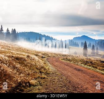 route rurale à travers le paysage de montagne de roumanie en automne au lever du soleil. forêt de conifères sur des collines ondulantes un matin brumeux dans le parc naturel apuseni. bea Banque D'Images