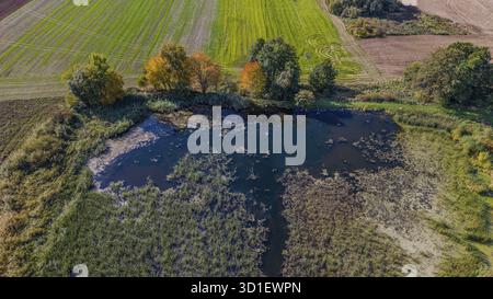 Un paysage calme en automne montre un petit étang entouré d'arbres colorés et de prairies verdoyantes. Les couleurs des feuilles se reflètent dans l'eau. z Banque D'Images