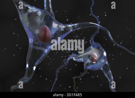 Illustration de la cellule nerveuse humaine sur un noir Banque D'Images
