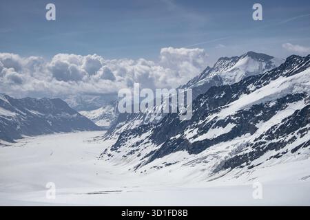 Glacier d'Aletsch - région de la Jungfrau, partie des Alpes suisses à Swizerland. Le grand glacier d'Aletsch est classé au patrimoine mondial de l'UNESCO Banque D'Images