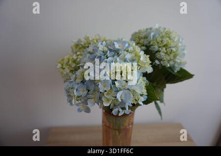 Un bouquet simple et élégant d'hortensias dans des tons bleus doux et vert pâle placés dans un vase en verre transparent sur une table en bois. Banque D'Images