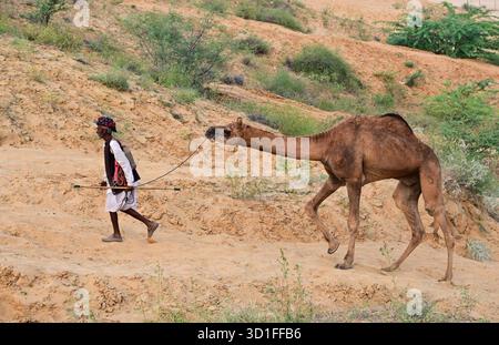 Pushkar, Rajasthan, Inde. 27 octobre 2025. Foire annuelle de chameau à Pushkar, montre des milliers de commerçants de bétail de toute la région se rassemblant à la foire traditionnelle de chameau, où des animaux - principalement des chameaux - sont achetés et vendus. L'événement annuel est l'une des plus grandes foires de chameaux et de bétail au monde. (Crédit image : © Shaukat Ahmed/Pacific Press via ZUMA Press Wire) USAGE ÉDITORIAL SEULEMENT ! Non destiné à UN USAGE commercial ! Banque D'Images