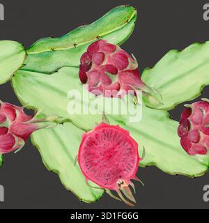 Fruit du dragon, tiges de cactus bordure d'aquarelle sans couture isolé sur gris foncé. Clip art tropical parfait pour le tissu, l'emballage, le design d'été, sain Banque D'Images