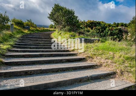 Marches en bois rustiques remplies de gravier menant vers le haut à travers l'herbe verte et les buissons en Irlande. Le chemin monte vers le ciel, symbolisant le voyage, Banque D'Images