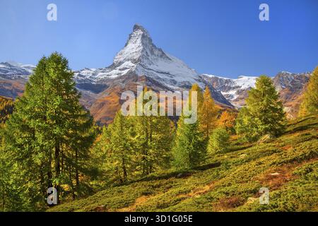 Paysage d'automne près de la Sunnegga avec Matterhorn 4478m, Zermatt, Mattertal, Valais, Suisse Banque D'Images