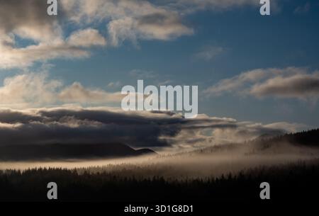 Brume et nuages sur les collines boisées au lever du soleil Banque D'Images
