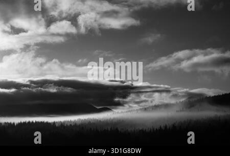Brume et nuages sur les collines boisées en noir et blanc Banque D'Images