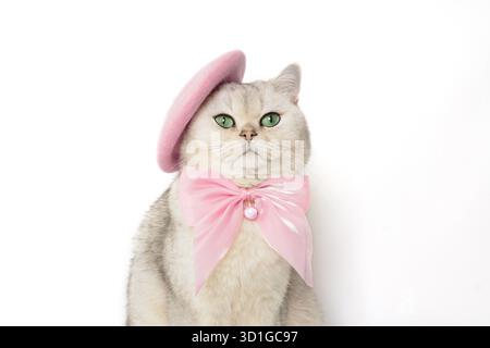 Chat élégant avec béret rose et arc sur fond blanc Banque D'Images