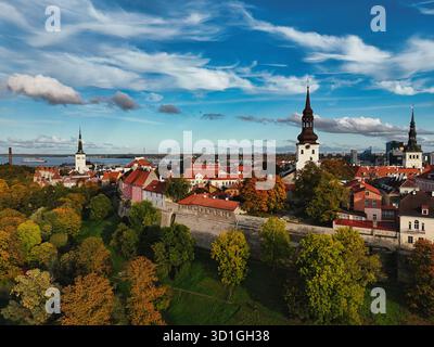 Panorama de la vieille ville de Tallinn - Toompea Hill en automne Banque D'Images