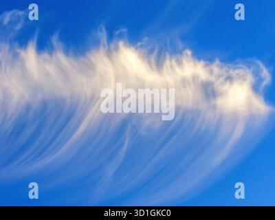 Nuages Cirrus inhabituels de haute altitude contre un ciel bleu - centre de la France. Banque D'Images