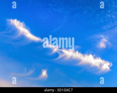 Nuages Cirrus inhabituels de haute altitude contre un ciel bleu - centre de la France. Banque D'Images