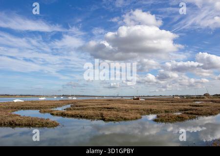 Marais salants sur la rivière Crouch à Brandy Hole, Hullbridge, Essex, Angleterre, Royaume-Uni Banque D'Images