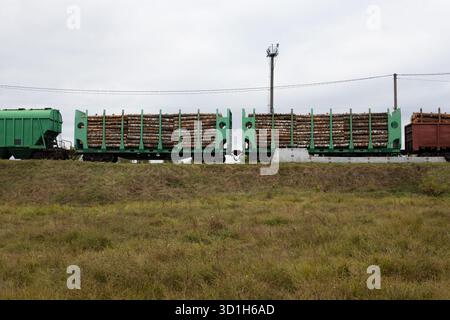 Les wagons de chemin de fer chargés de bois sont stationnés sur les voies ferrées. Wagons de chemin de fer chargés de bois. Commerce du bois. Transport de marchandises. Transport du bois par Banque D'Images