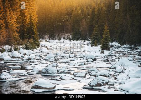 La neige recouvre les rochers le long de la rivière Jizera, créant une scène hivernale sereine au crépuscule. La lumière du soleil filtre à travers les grands arbres, améliorant l'atmosphère paisible entre la Tchéquie et la Pologne. Banque D'Images
