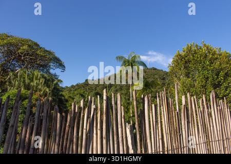 Clôture en bois rustique et forêt tropicale luxuriante à Minas Gerais, Brésil, textures naturelles de campagne, feuillage vert et paysage rural serein Banque D'Images
