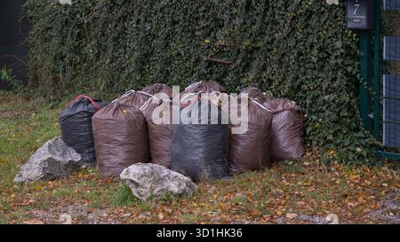 Plusieurs grands sacs remplis de déchets de jardin se trouvent à l'extérieur près d'une clôture, représentant le nettoyage saisonnier de la cour, le recyclage et la gestion des déchets. Cet ima Banque D'Images