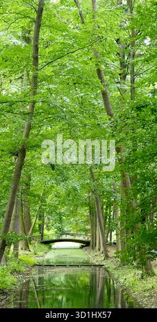 La scène de forêt verdoyante comprend une voie navigable tranquille et un charmant pont en bois entouré d'arbres. Banque D'Images