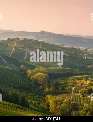Vue panoramique sur les collines du vignoble près de Barbaresco et Neive dans la région des Langhe Piémont en Italie au coucher du soleil. Site classé au patrimoine mondial de l'UNESCO. Banque D'Images