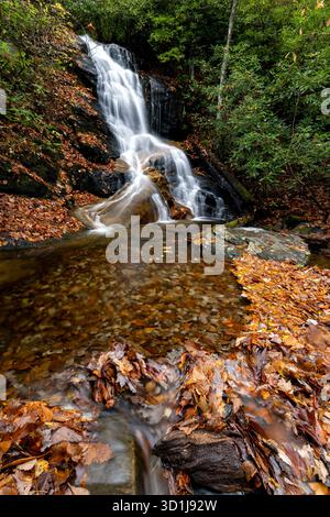 Log Hollow Falls en automne - Pisgah National Forest, près de Brevard, Caroline du Nord, États-Unis Banque D'Images