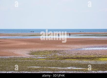 Les gens sur le baech à marée basse sur la côte à Victoria-by-the-Sea sur l'Île-du-Prince-Édouard, Canada Banque D'Images