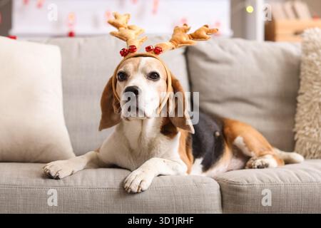 Chien beagle mignon dans les cornes de cerf de Noël couché sur le canapé à la maison Banque D'Images