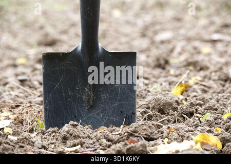 Une pelle se tient debout dans la terre, prête pour creuser ou planter dans un jardin ou un champ Banque D'Images