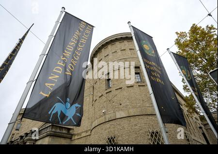 Halle, Allemagne. 27 mars 2025. Le Musée d'État de la Préhistoire Halle/Saale. L'exposition permanente 'Bronzerausch' est redessinée et reconstruite après 17 ans. Des expositions allant du néolithique tardif au début de l'âge du bronze, il y a environ 4800 à 3500 ans, sont exposées. Crédit : Heiko Rebsch/dpa/Alamy Live News Banque D'Images