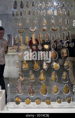Exposition d'outils préhistoriques en pierre et d'objets en silex exposés au Musée national de la civilisation égyptienne au Caire, en Égypte Banque D'Images