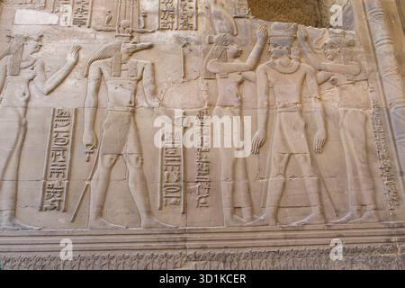 Ancien relief mural égyptien représentant Sobek et des figures avec des hiéroglyphes sculptés dans un mur de pierre au temple de Kom Ombo, en Égypte Banque D'Images